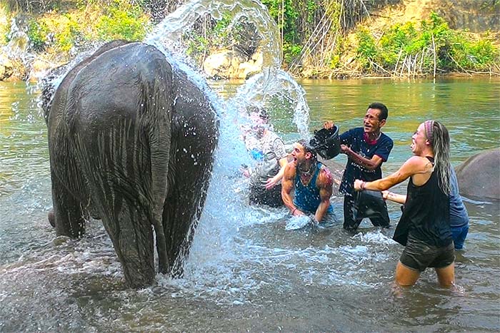 Journée en famille avec les éléphants