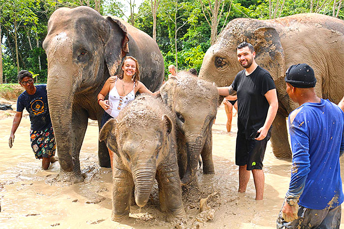 Eléphants Thaïlande Phuket