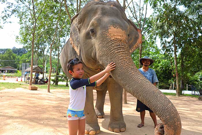 Journée à Phuket avec les éléphants
