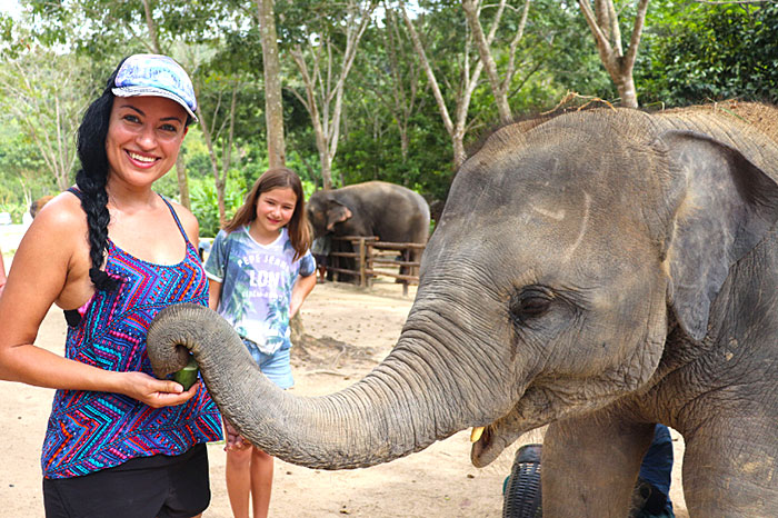 Fondation elephant Thaïlande