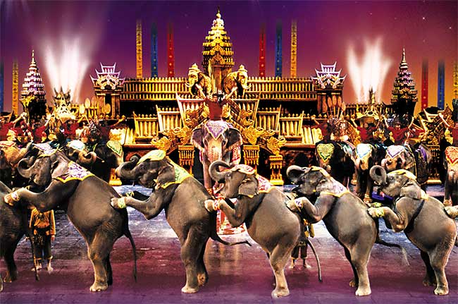 Spectacle avec éléphants Phuket