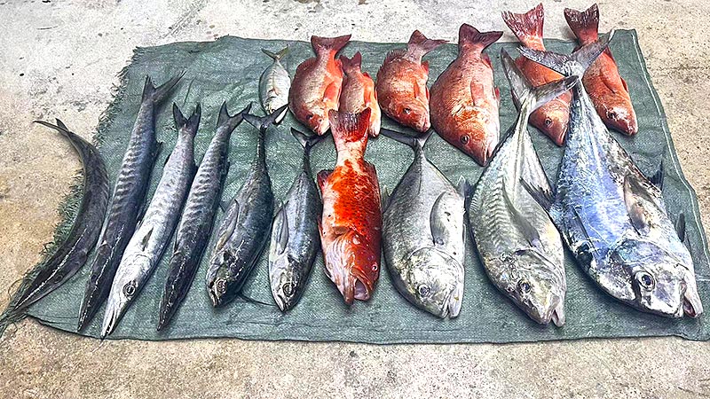 Bateau pour la pêche au gros à Phuket