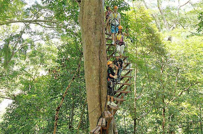 Parcours d'accrobranche en Thaïlande