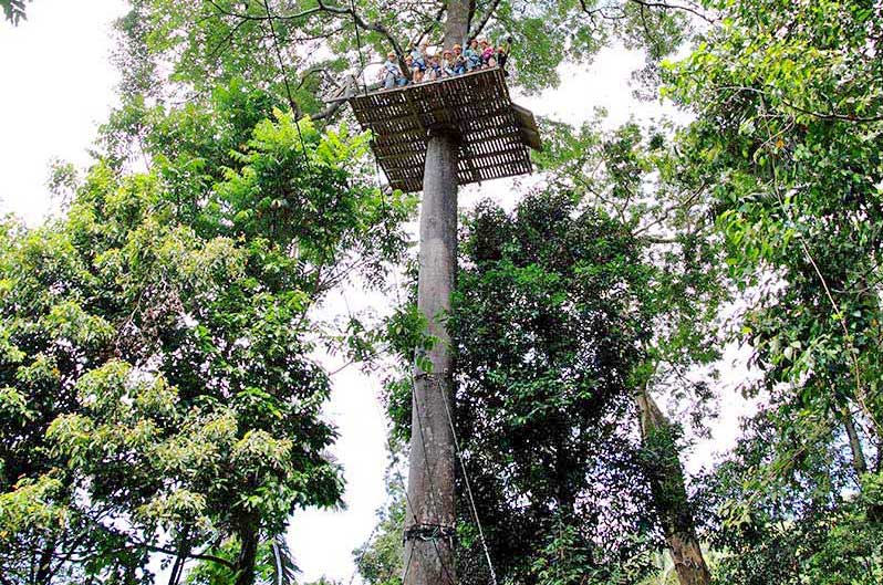 Parcours de tyrolienne à Phuket