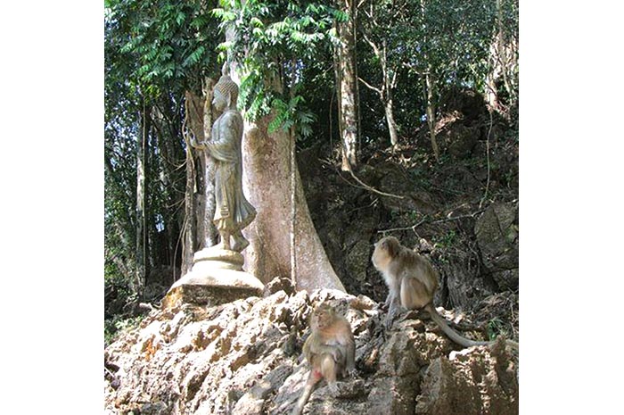 Singes Cheow Lan Lake