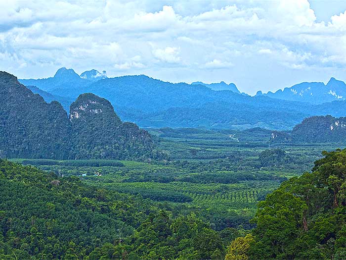 Point de vue sur le Parc National de Khao Sok