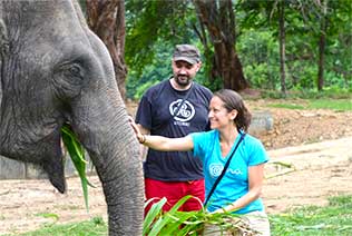 Soins aux éléphants