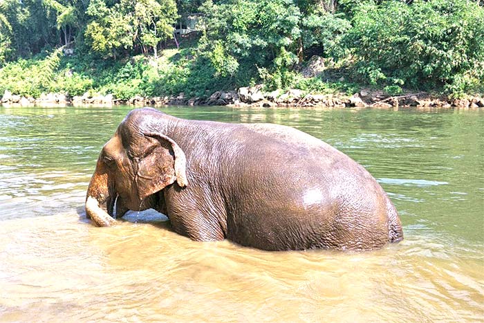 Baignade rivière