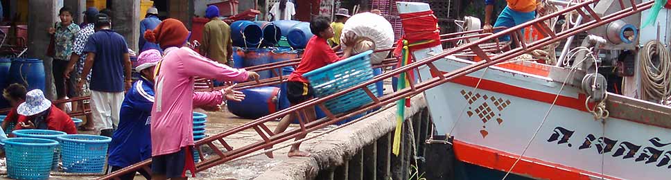 Visite du marché aux poissons depuis Bangkok