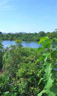 Découverte de la  Rivière Kwai avec guide francophone