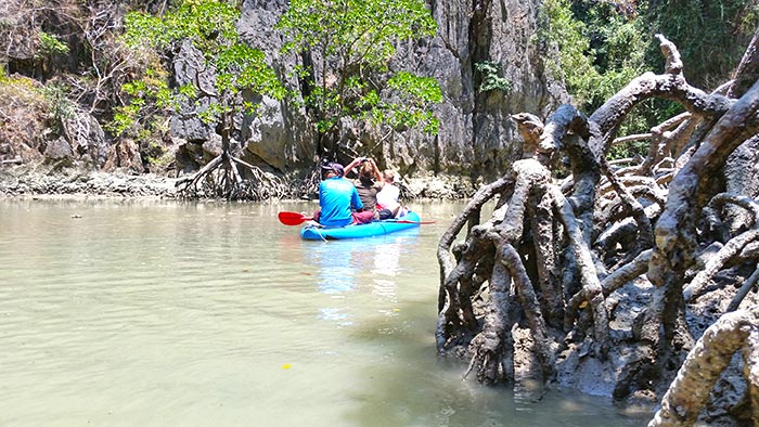 Excursion d'une journée à Phang Nga avec guide francophone