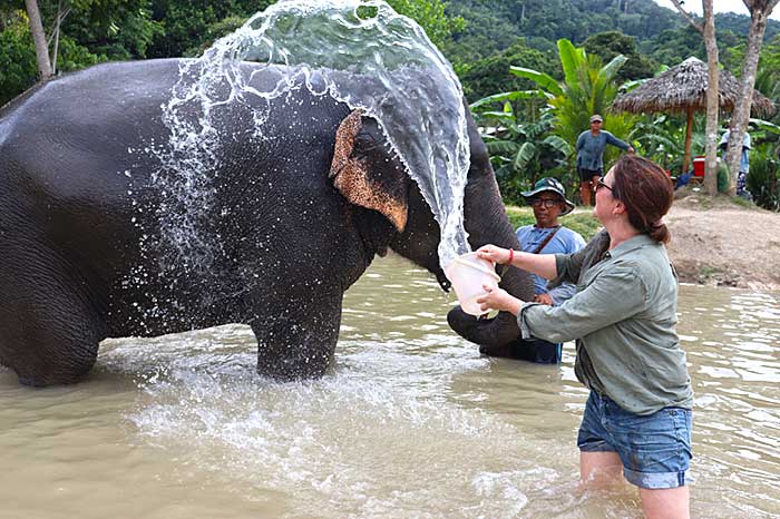 Sanctuaire éléphant phuket