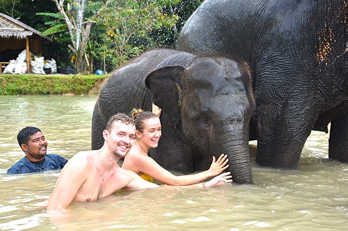 Balade éléphants Thaïlande Phuket