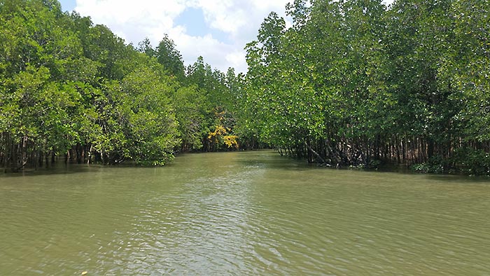 Visite de la Baie de Phang Nga à bord de la June Bahtra