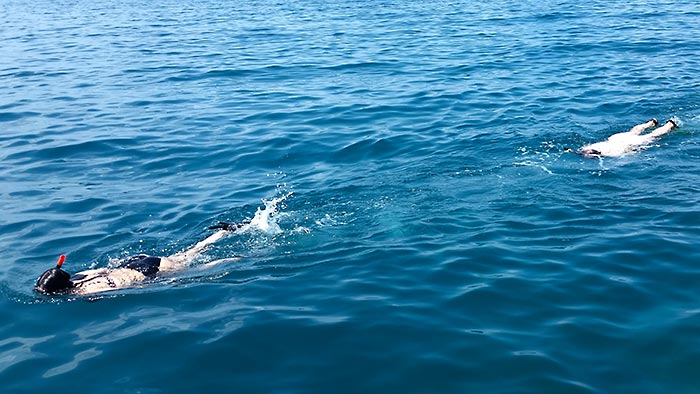 Excursion aux îles Phi Phi en bateau rapide